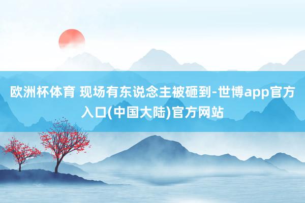 欧洲杯体育 现场有东说念主被砸到-世博app官方入口(中国大陆)官方网站