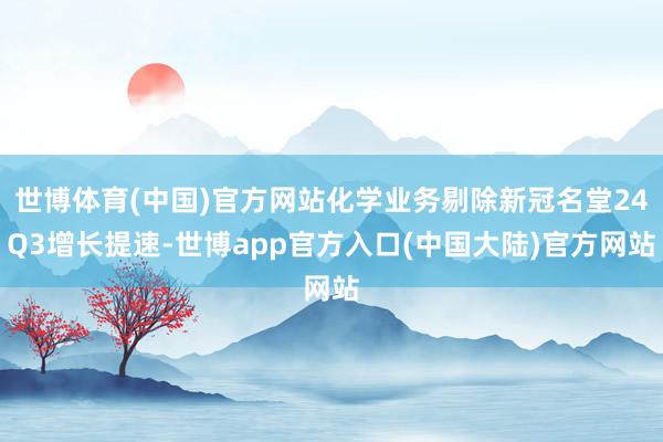 世博体育(中国)官方网站化学业务剔除新冠名堂24Q3增长提速-世博app官方入口(中国大陆)官方网站